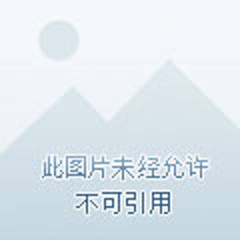 课外辅导新趋势:中小学教育助力成长